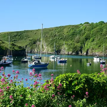 SOLVA, PEMBROKESHIRE, UK - May 15, 2025. The cliff surrounded sheltered harbour at Solva, Pembrokeshire, Wales, UK, License Type: media, Download Time: 2025-12-10T17:43:38.000Z, User: sevelynd12, Editorial: true, purchase_order: 56500 - T&R or Kids, job: Global Publishing WIP, client: Dream Trips of Europe, other: Sharon Dortenzio