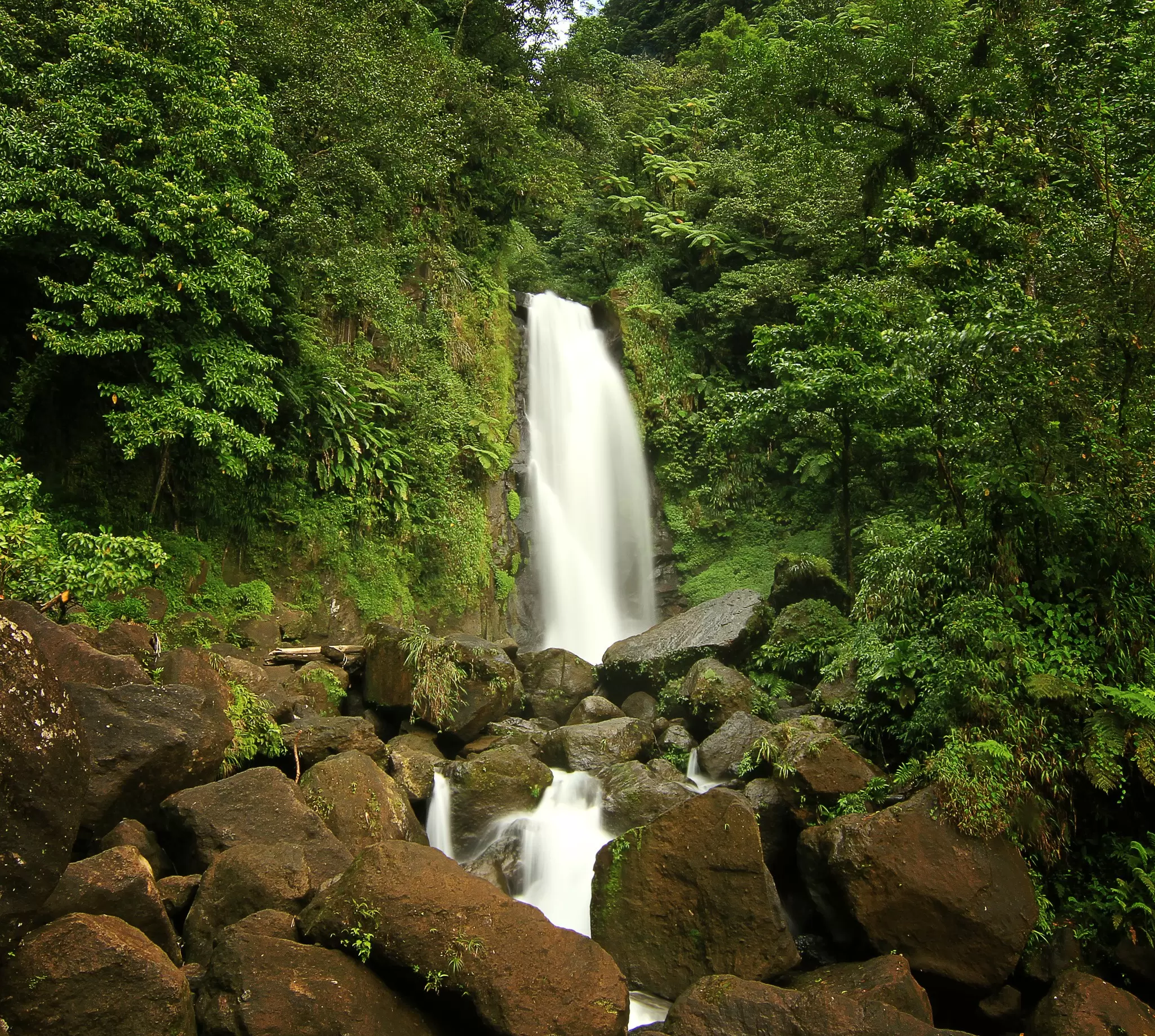 One of the twin Trafalgar Falls pouring into a rocky stream surrounded by rainforest, Dominica.