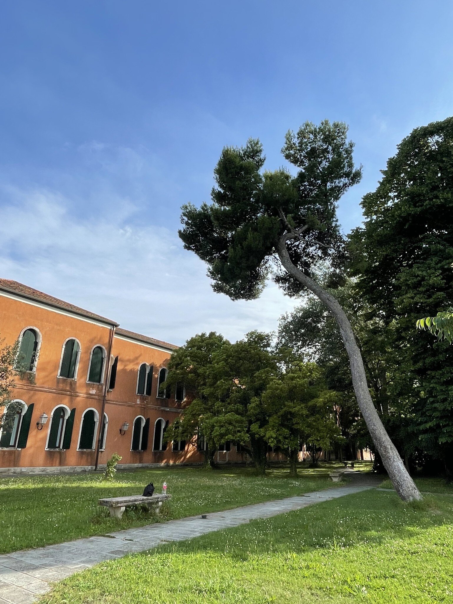 Greenery on the Isola di San Servolo in the Venetian lagoon in Italy.