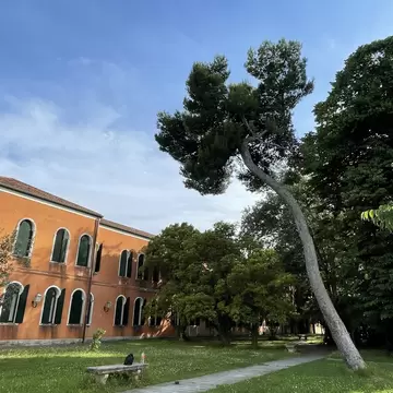 Greenery on the Isola di San Servolo in the Venetian lagoon in Italy.