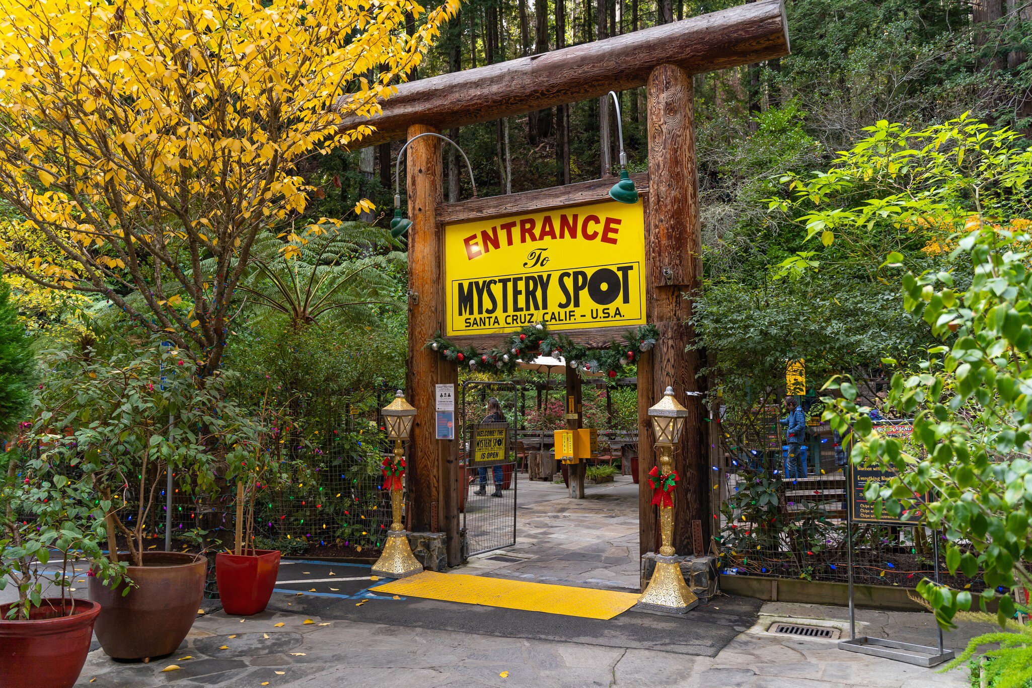 The Mystery Spot, Santa Cruz, California USA