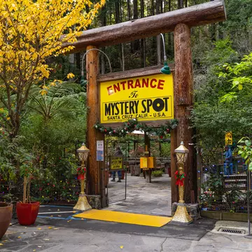 The Mystery Spot, Santa Cruz, California USA