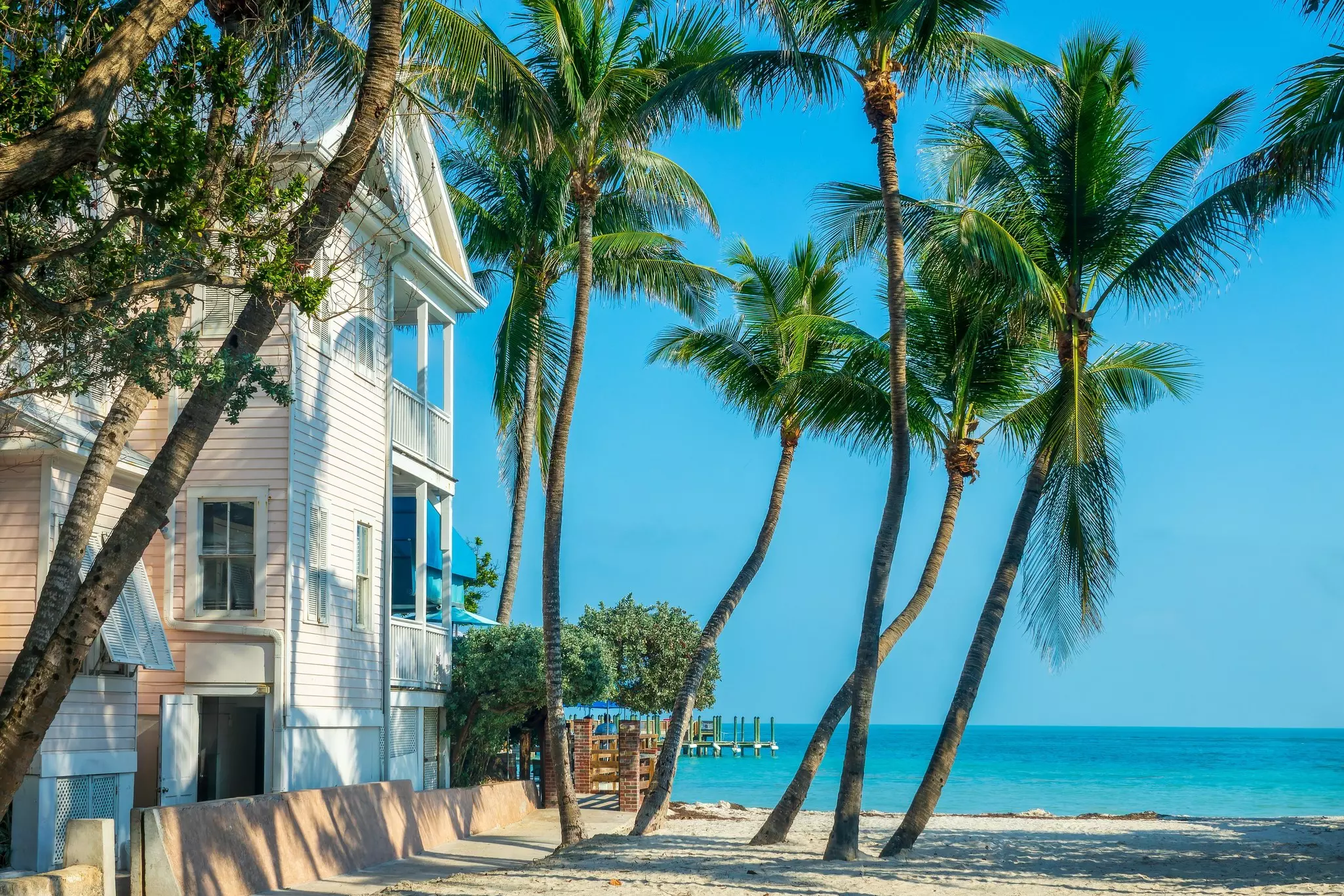 Palm trees grow on a beach next to houses and bright-blue water, Key West