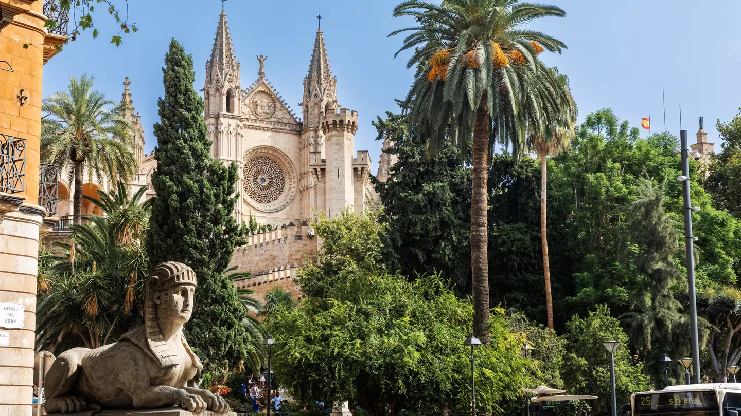 View of the Catedral de Mallorca ('La Seu') framed by palm trees and a stone sphinx statue in Palma on the island of Mallorca in Spain.