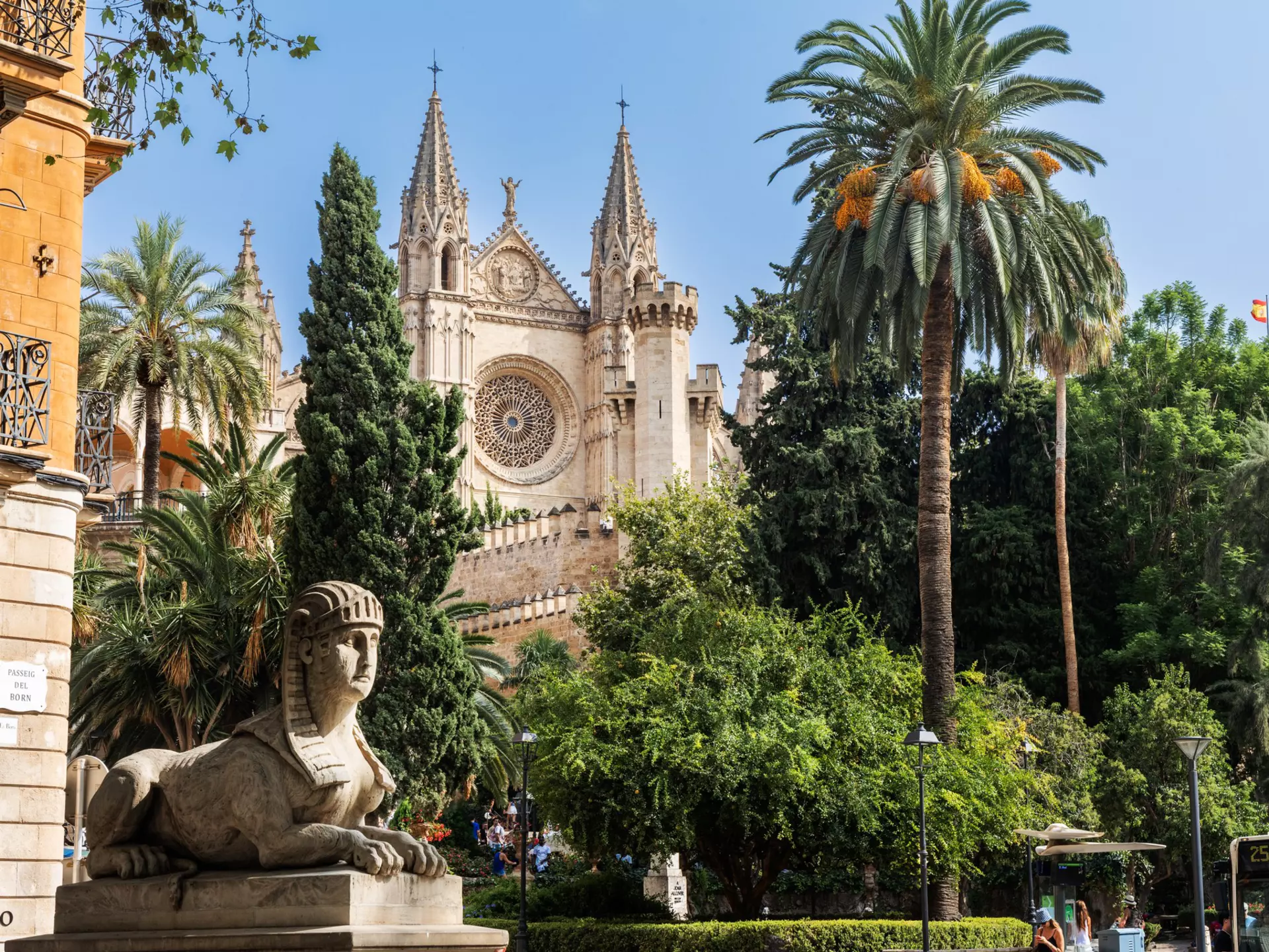 View of the Catedral de Mallorca ('La Seu') framed by palm trees and a stone sphinx statue in Palma on the island of Mallorca in Spain.