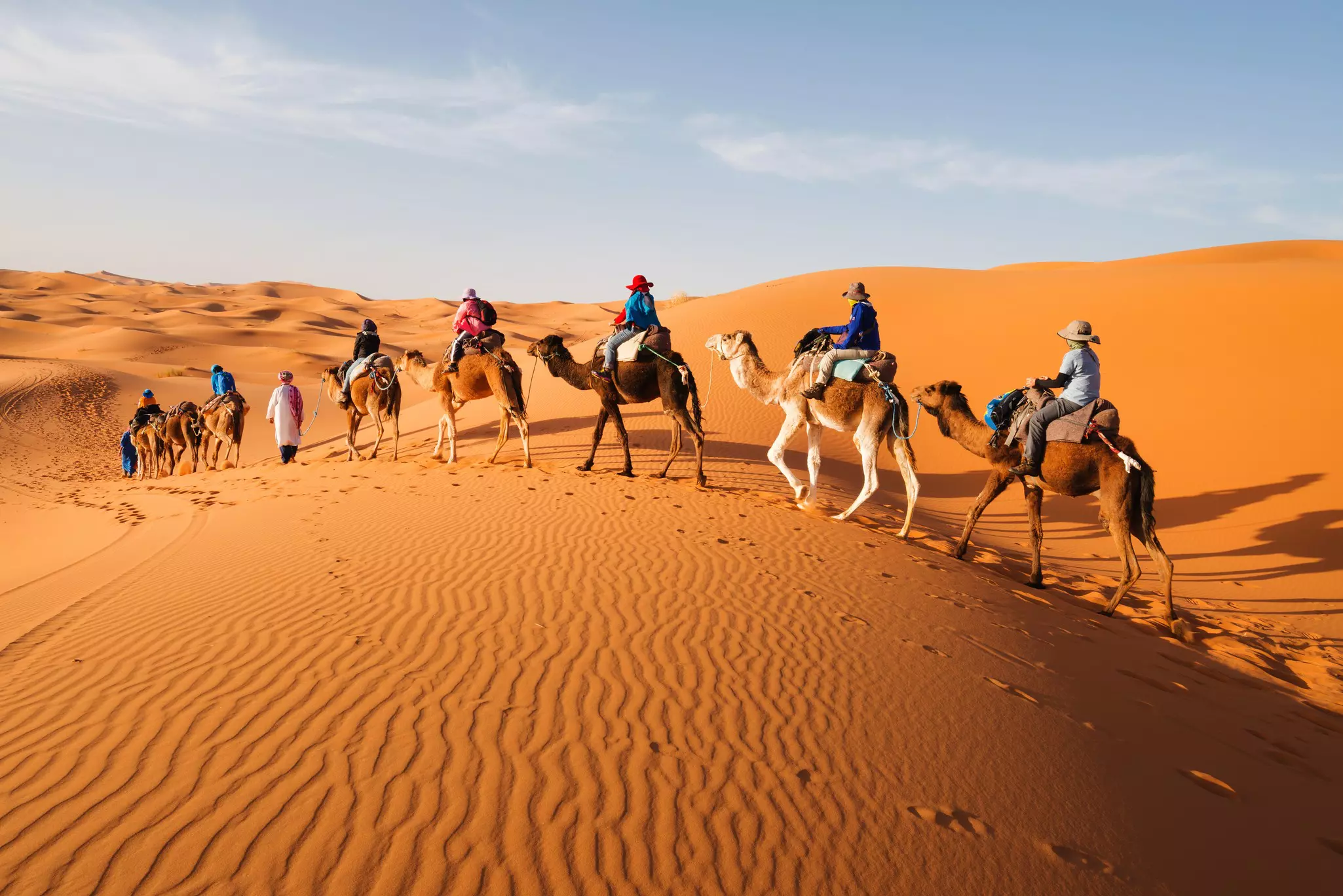 Caravan going through the sand dunes in the Sahara Desert, Morocco.