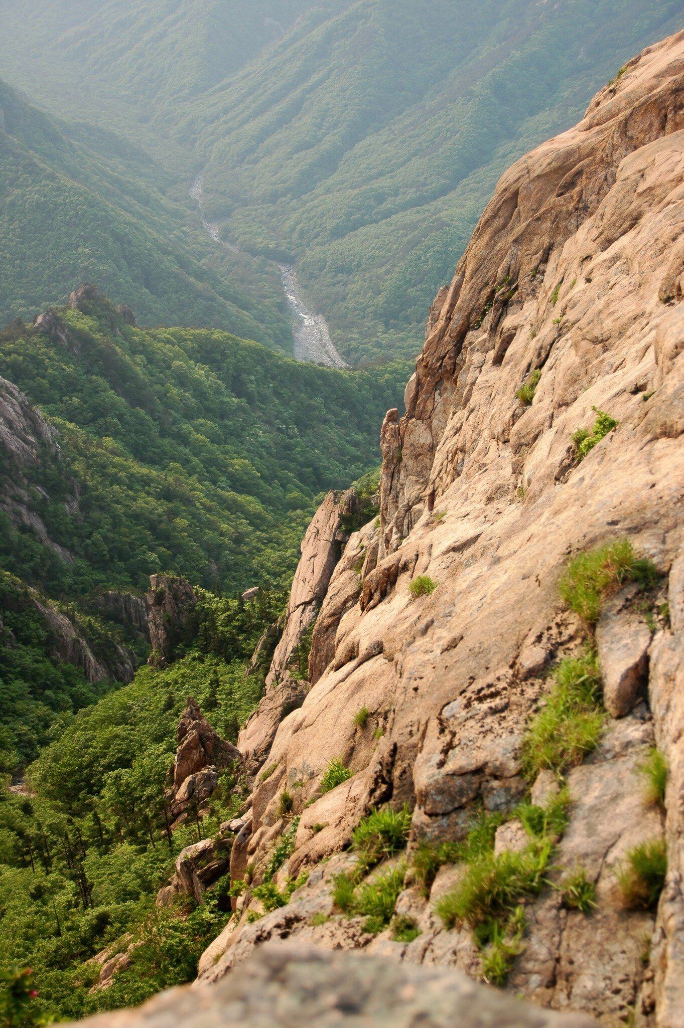 Sheer tan granite rock face beside a deep green wooded valley with a pale riverbed winding below, Seoraksan, South Korea.
