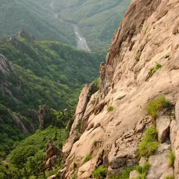 Sheer tan granite rock face beside a deep green wooded valley with a pale riverbed winding below, Seoraksan, South Korea.