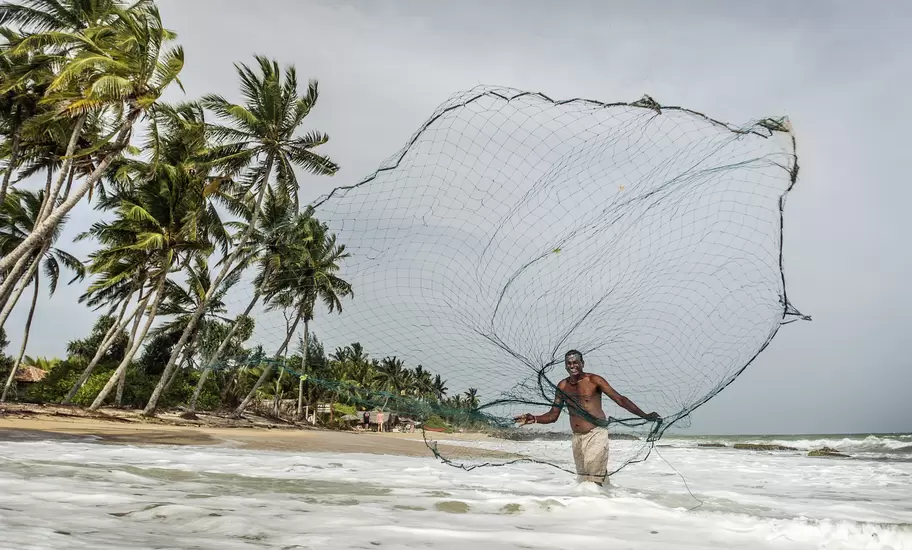 Fisherman standing in the surf near Mirissa, Sri Lanka, flinging a wide cast net in front of a palm-lined beach