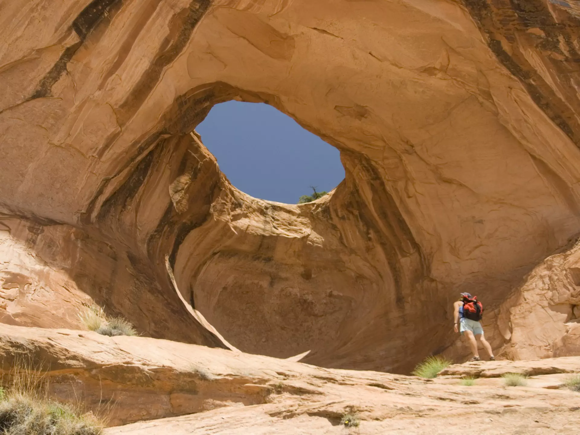 A hiker looks at Bowtie Arch outside of Moab, Utah.
83653942
active, adults, arch, color image, day, desert, exercise, hiker, hiking, horizontal, moab, one adult woman only, one person, outdoors, photography, recreation, slickrock, solitude, summer, trail, utah