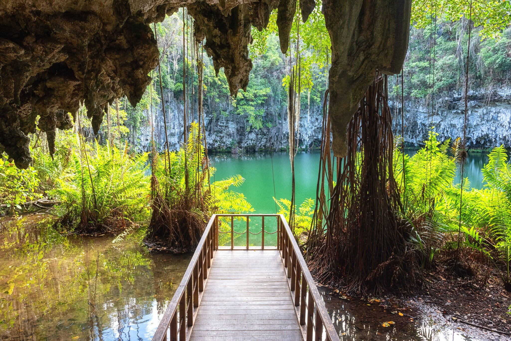 Three eyes cave in Santo Domingo, los Tres Ojos national park, Dominican Republic. Scenic view of limestone cave, beautiful lake and tropical plants, nature landscape, outdoor travel background  License Type: media  Download Time: 2023-08-21T08:47:19.000Z  User: claramonitto  Is Editorial: No  purchase_order:   