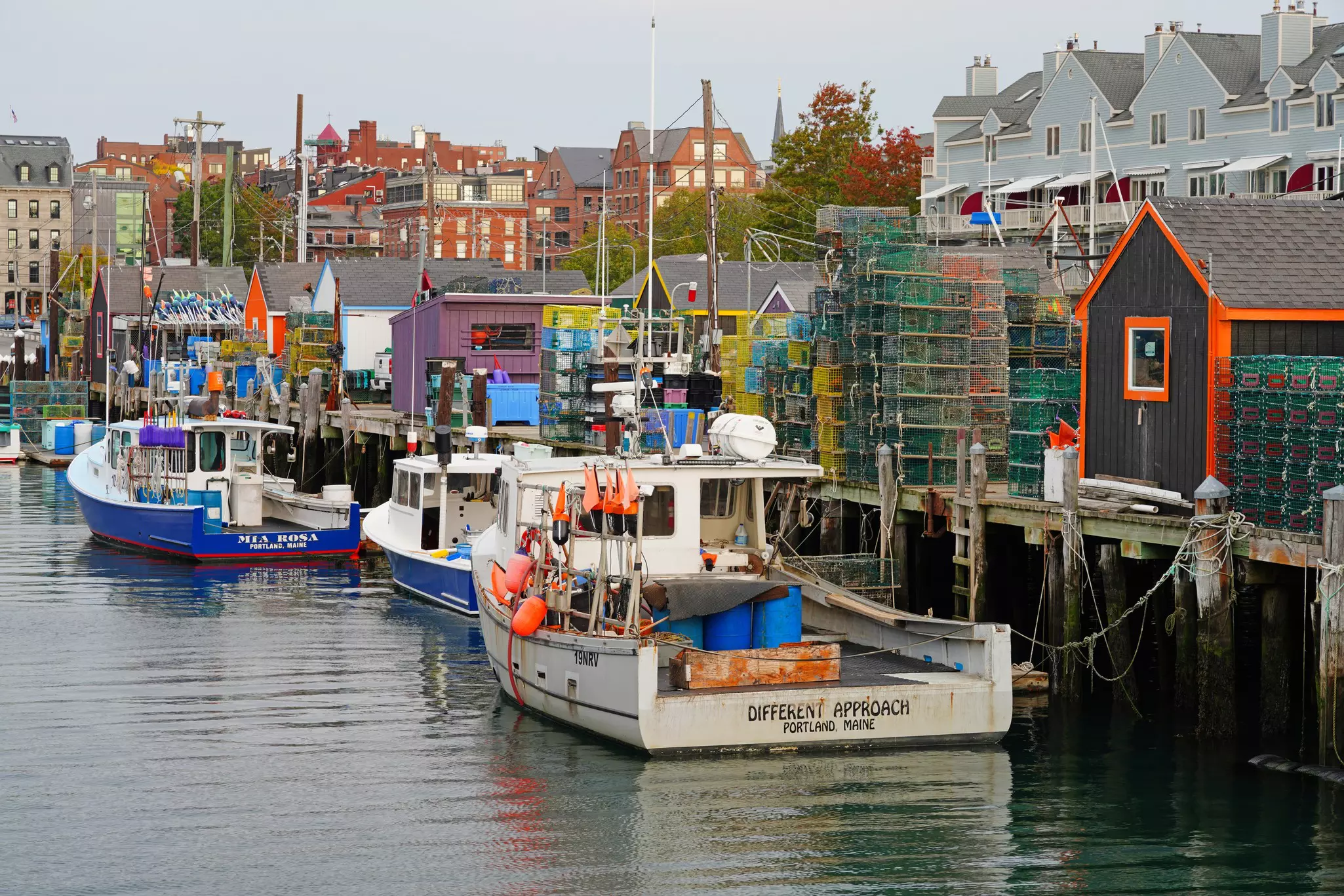 View of lobster boats in the Portland harbor, Casco Bay, Maine, United States