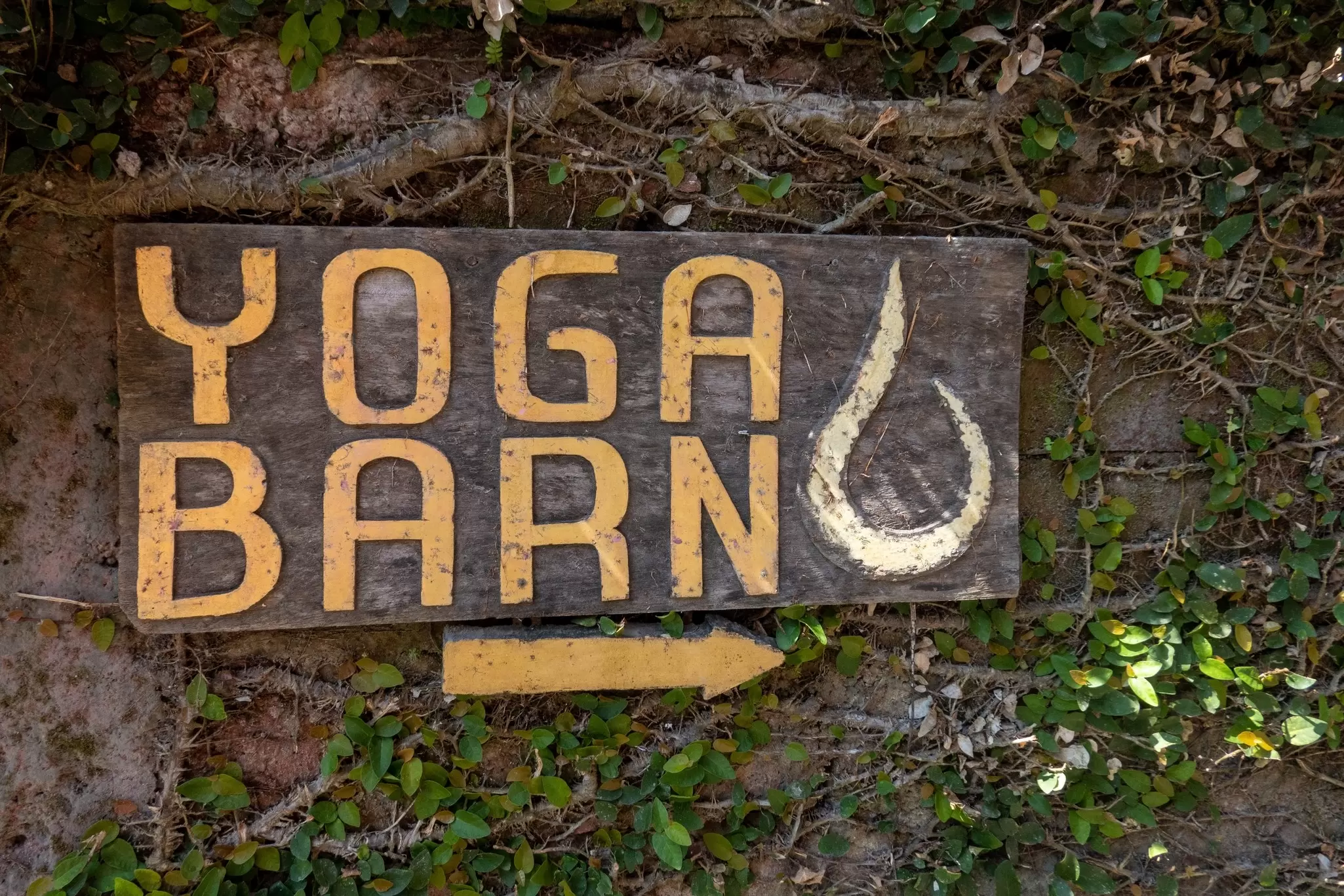 A brown wooden sign with the words "Yoga Barn" in yellow capital letters. The sign is surroneded by leaves and branches. A yellow arrow pointing to the right is under the sign