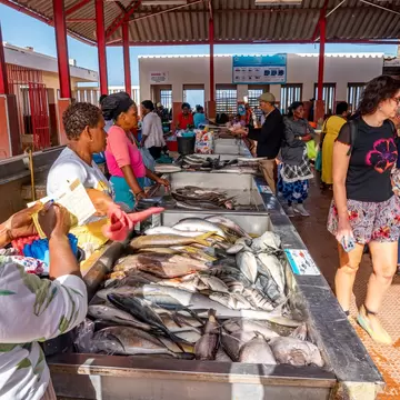 Covered market hall with red pillars, steel counters piled with fresh fish, vendors and shoppers walking along a tiled aisle