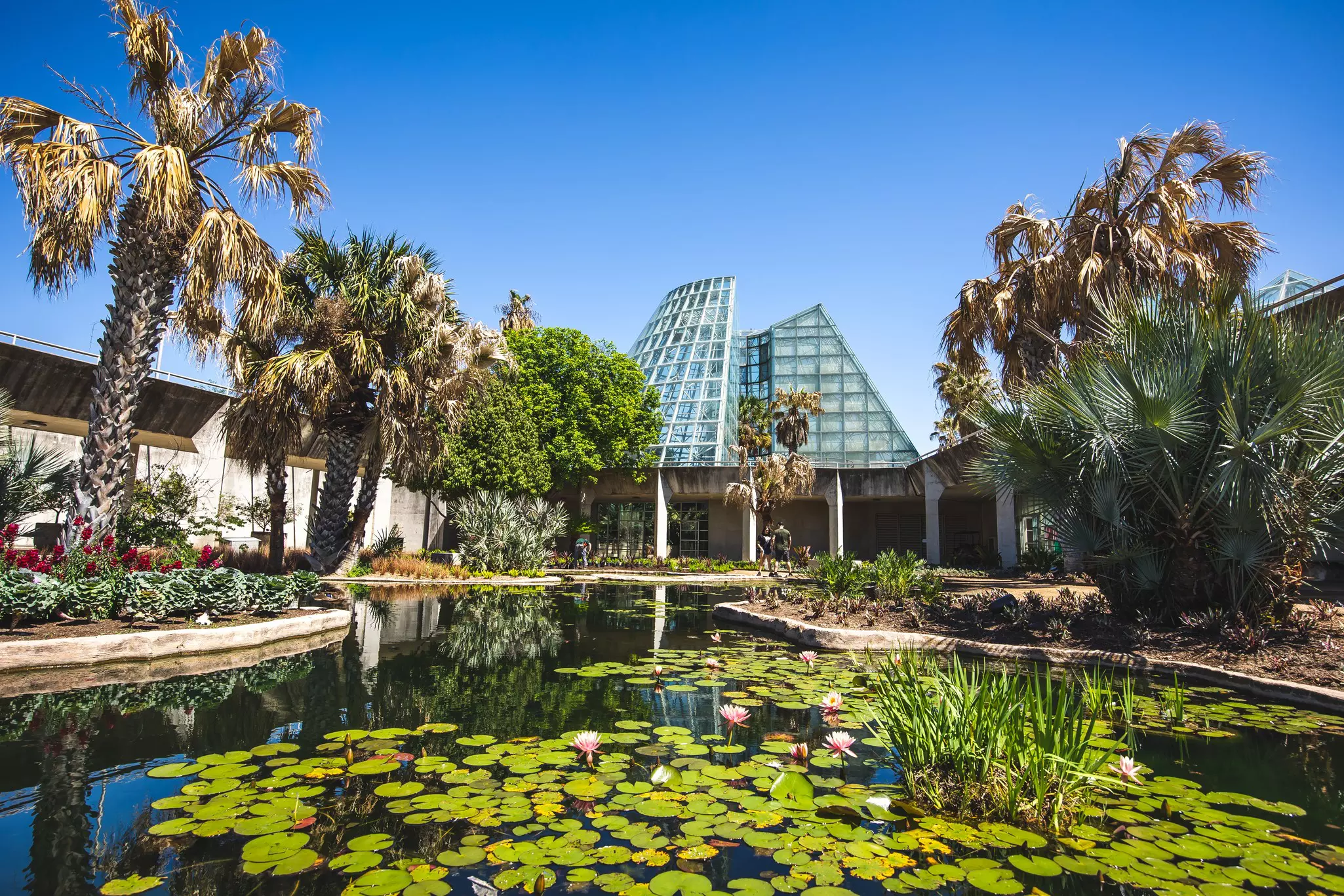 The San Antonio Botanical Gardens is an oasis from the summer sun © Benjamin Yanto / Lonely Planet