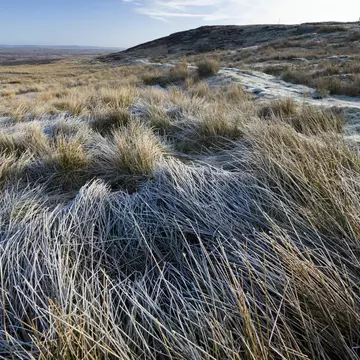 Sleighholme Moor walking trail.