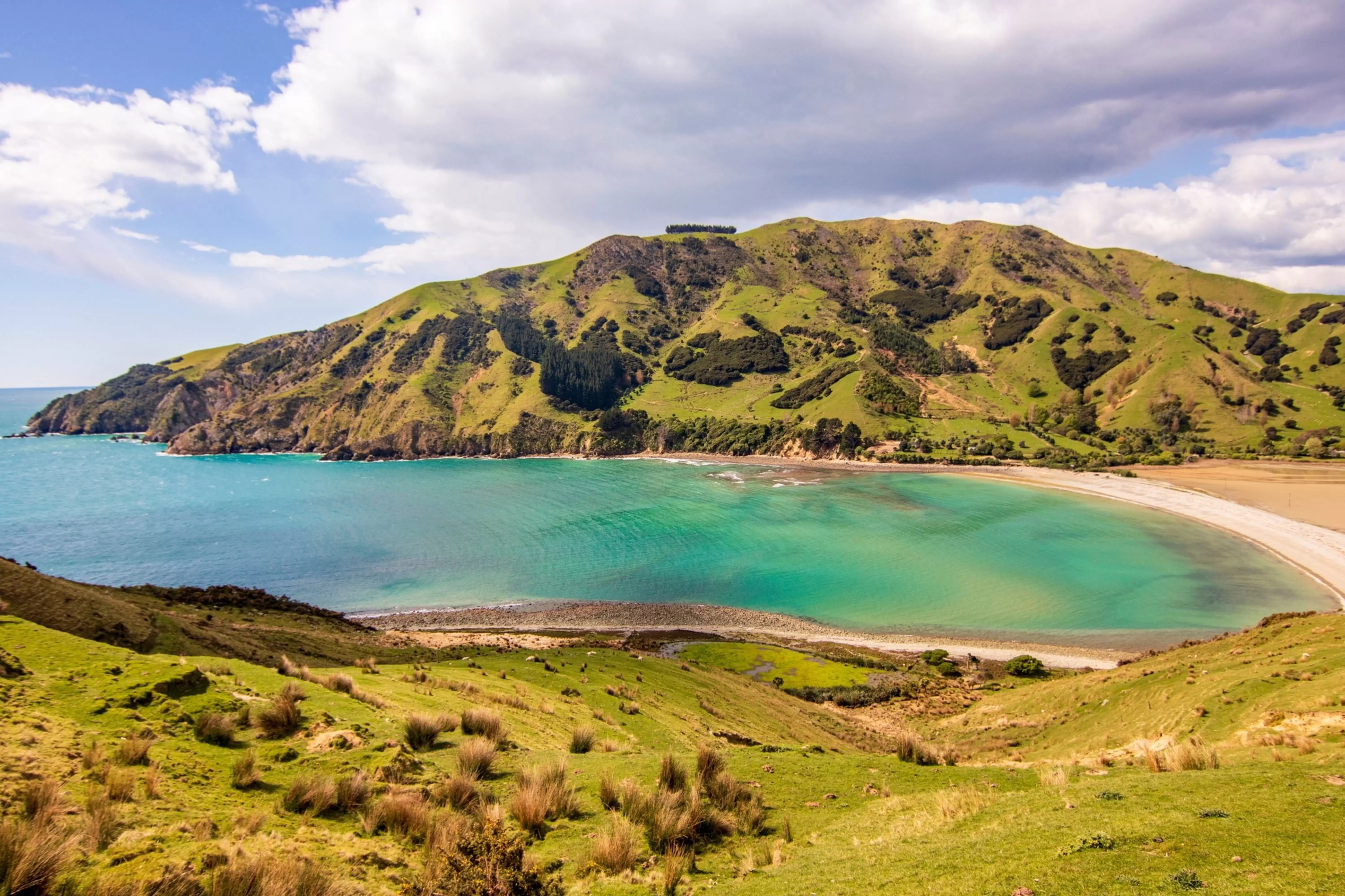 Shooting Cable Bay in Nelson New Zealand