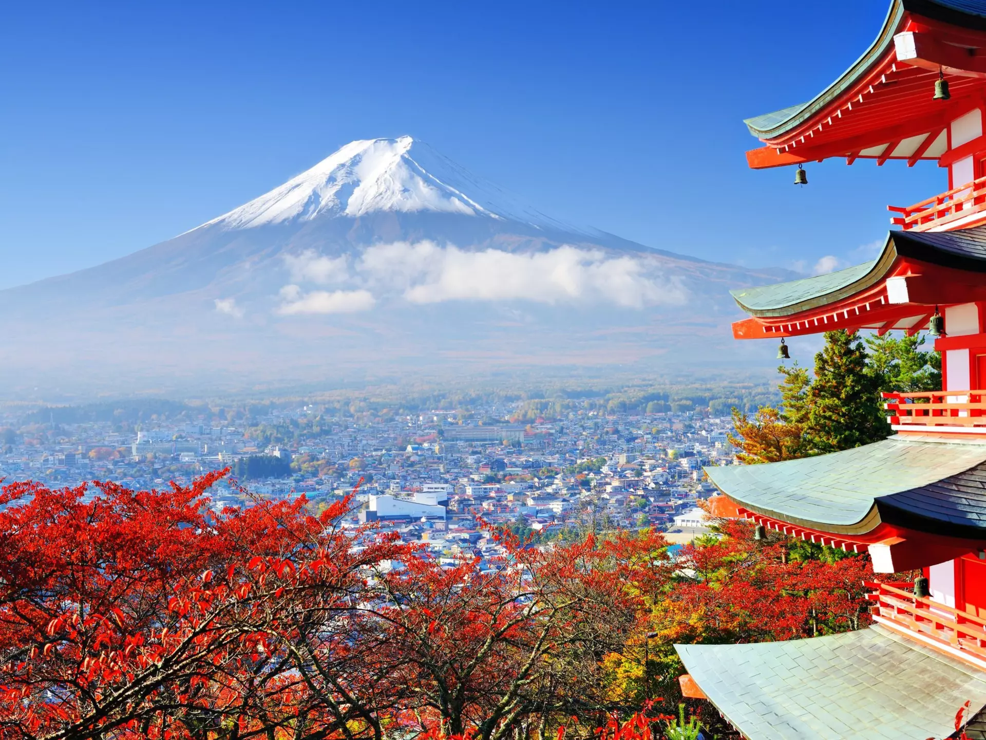 Mt. Fuji with fall colors in Japan.