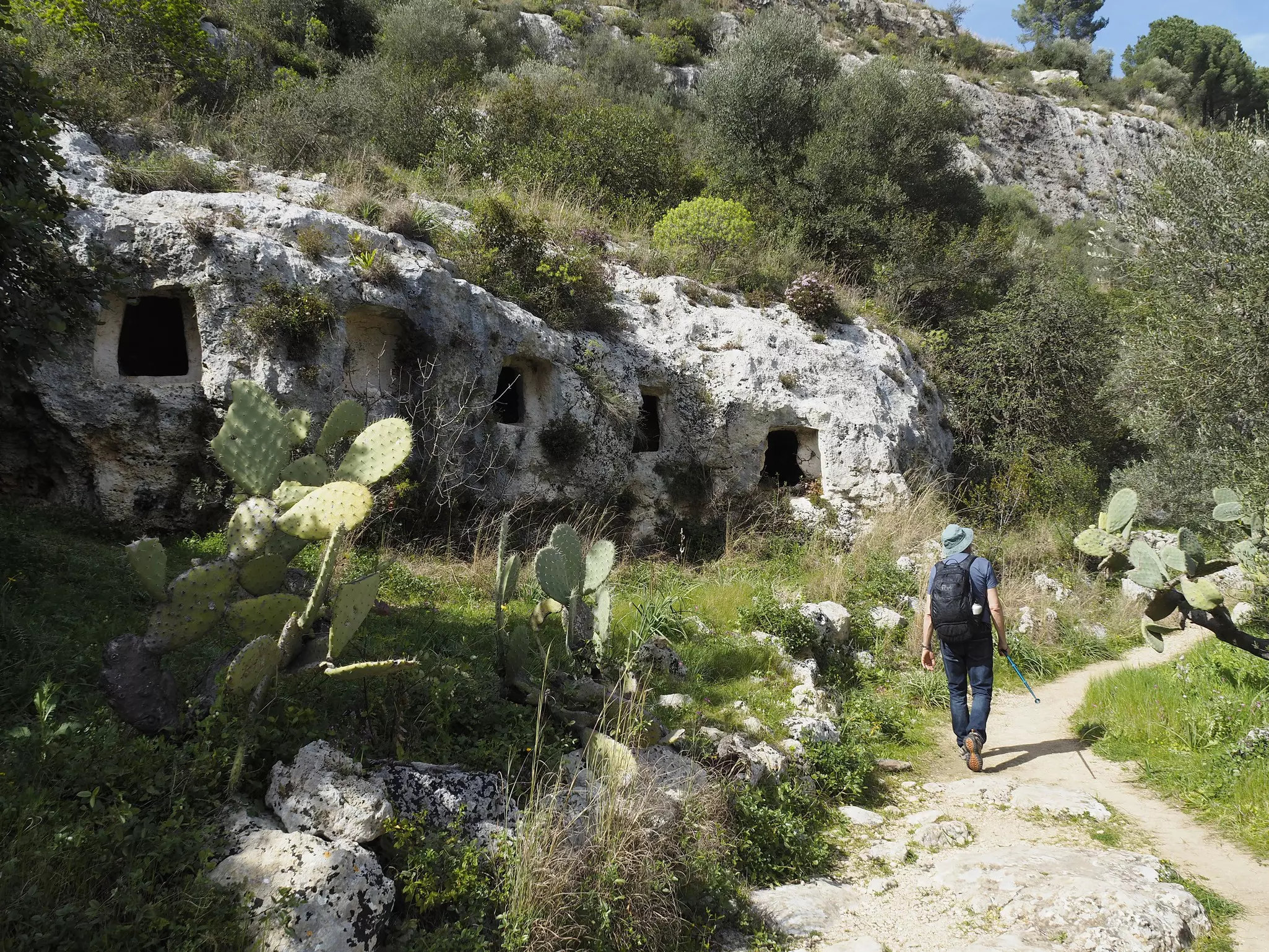 A solo hiker follows a path near cactuses and rectangular cuttings in the nearby rock face.