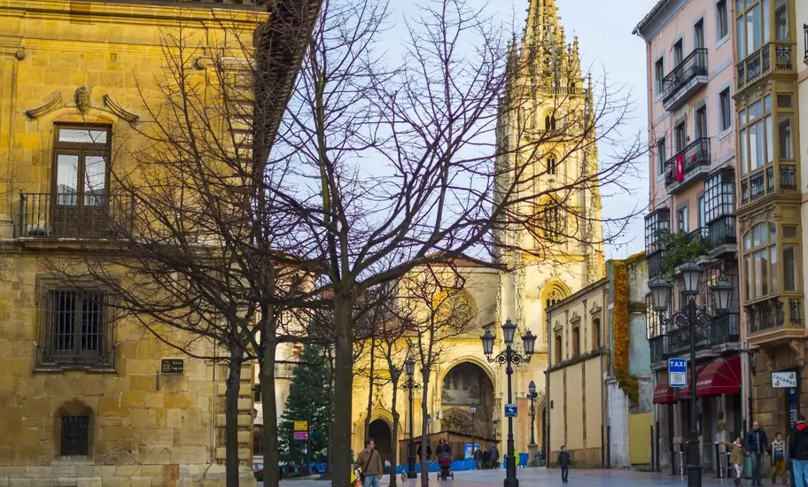 Ornate Gothic cathedral spire rising above a golden-stone old-town plaza with bare winter trees and benches