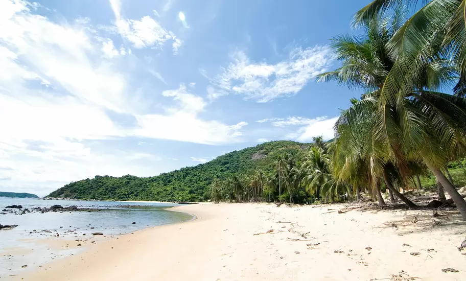 Empty white-sand beach curving beneath coconut palms and a forested hill on the Cham Islands, Vietnam