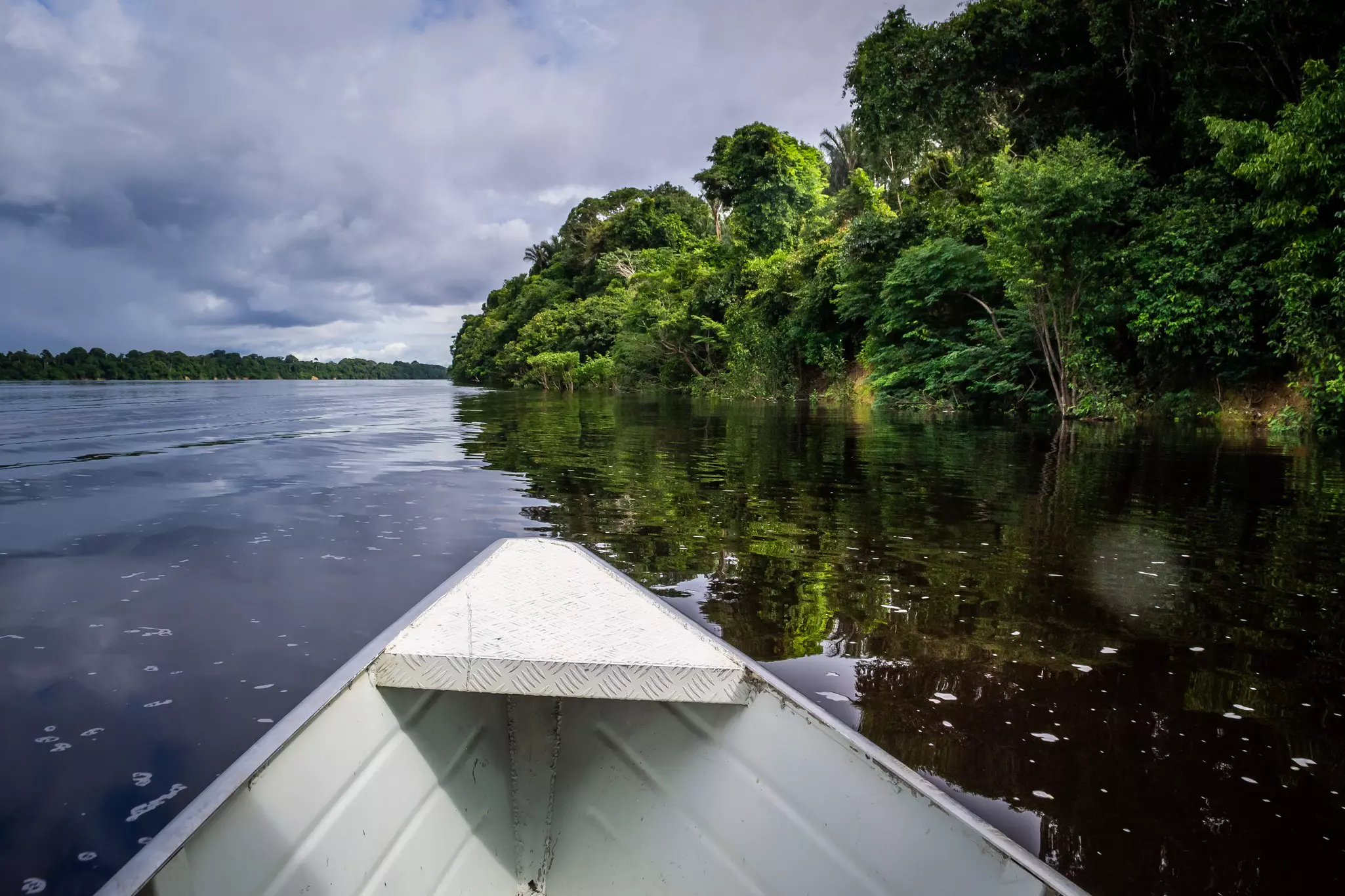 Beautiful Anavilhanas National Park is a popular choice for an excursion from Manaus © Marcos Mello / Getty Images