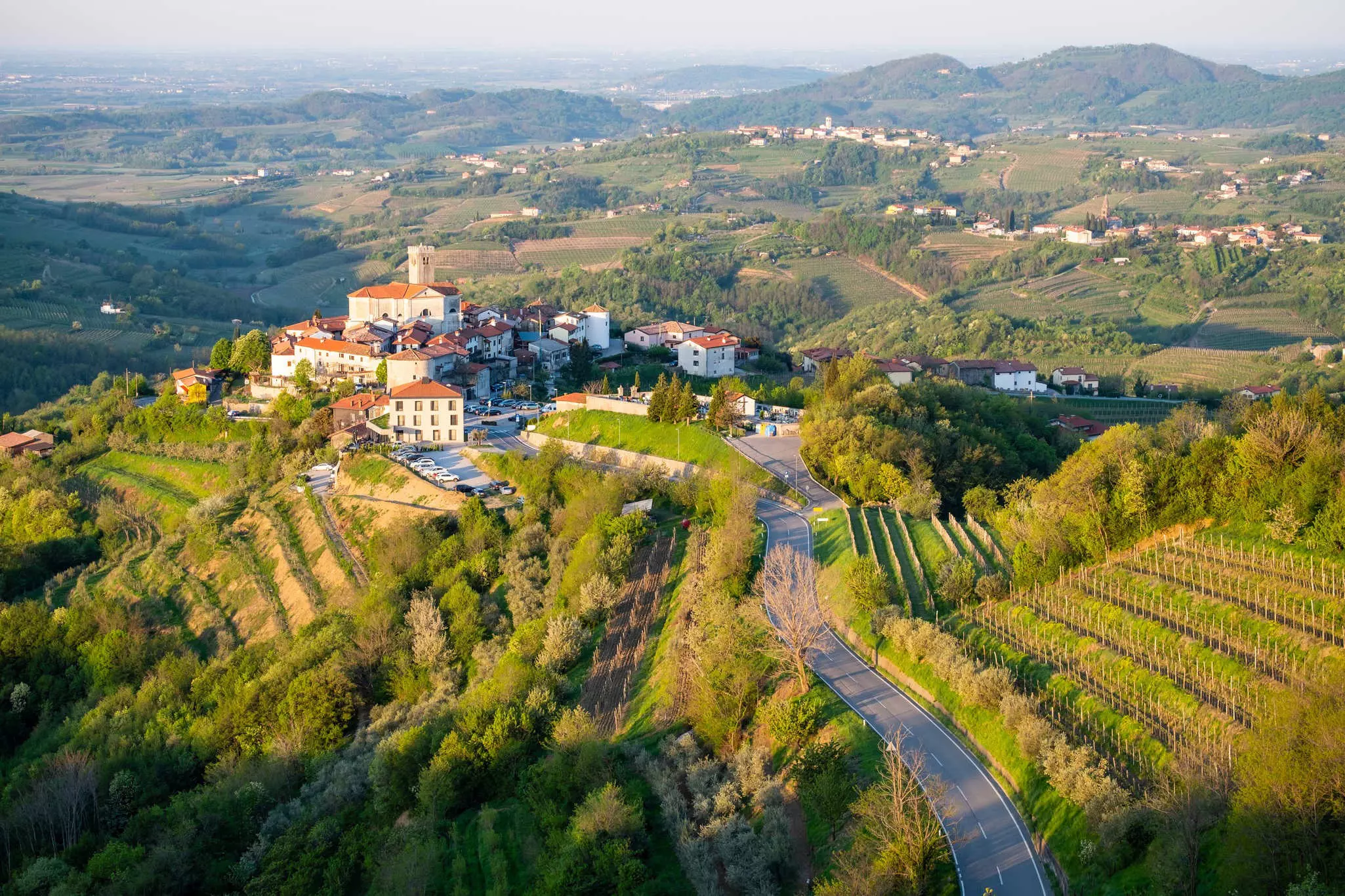 The vineyards in the wine region of Brda in Slovenia  ©photoflorenzo/Alamy Stock Photos