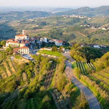 Vineyard landscape in Collio.