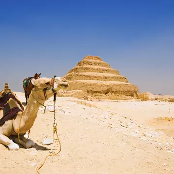 A camel with a saddle is seated on sandy ground with a stepped pyramid in the background.