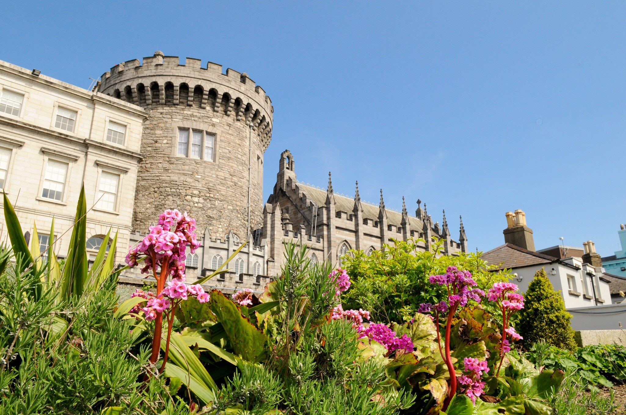Dublin Castle from Dubh Linn gardens on a sunny spring day in Dublin, Ireland. Pink flowers blooming in foreground.