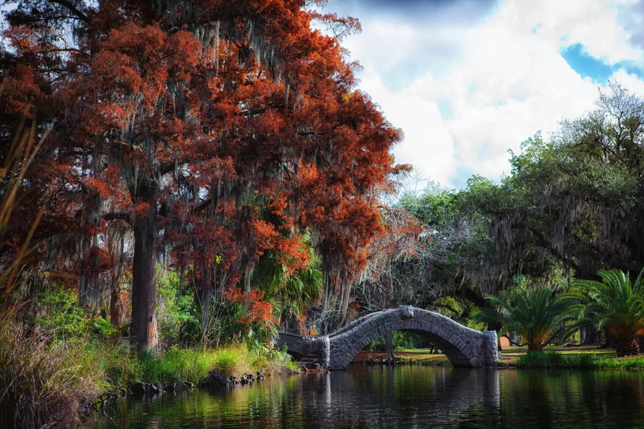 Trees and bridge reflecting in City Park, New Orleans