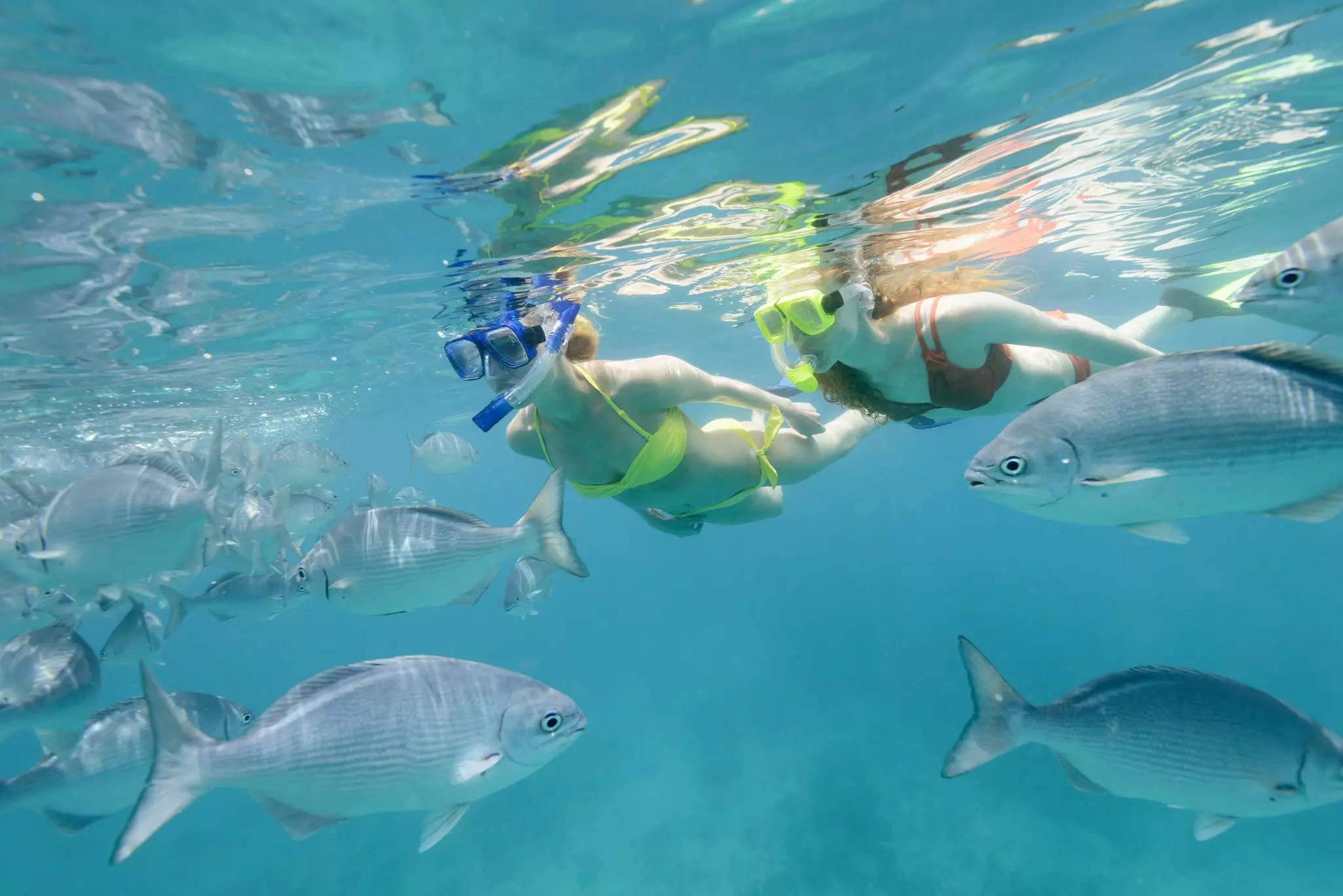 Two young women snorkeling in the Caribbean Sea off Barbados
