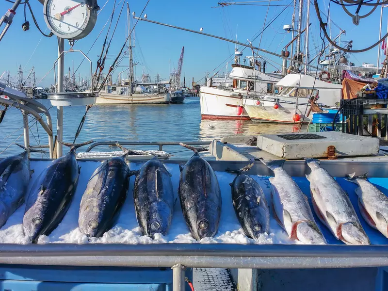 Fish Market in Steveston Village, Richmond, BC, Canada