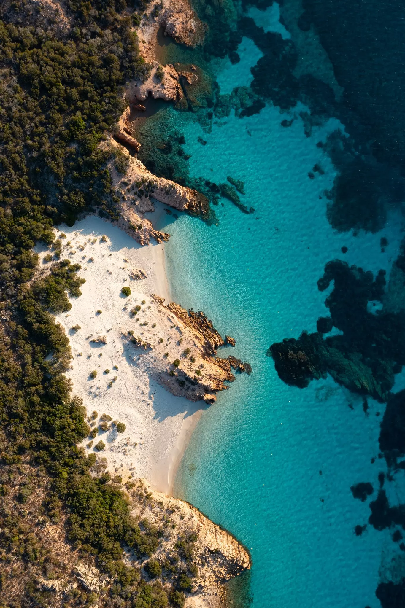 A selfie of the writer on a boat at sea