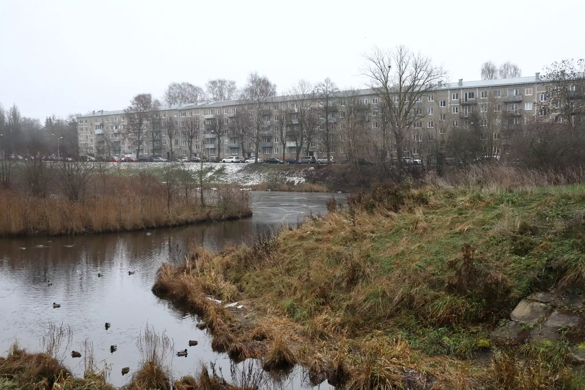 Apartment blocks next to a river, pictured in winter