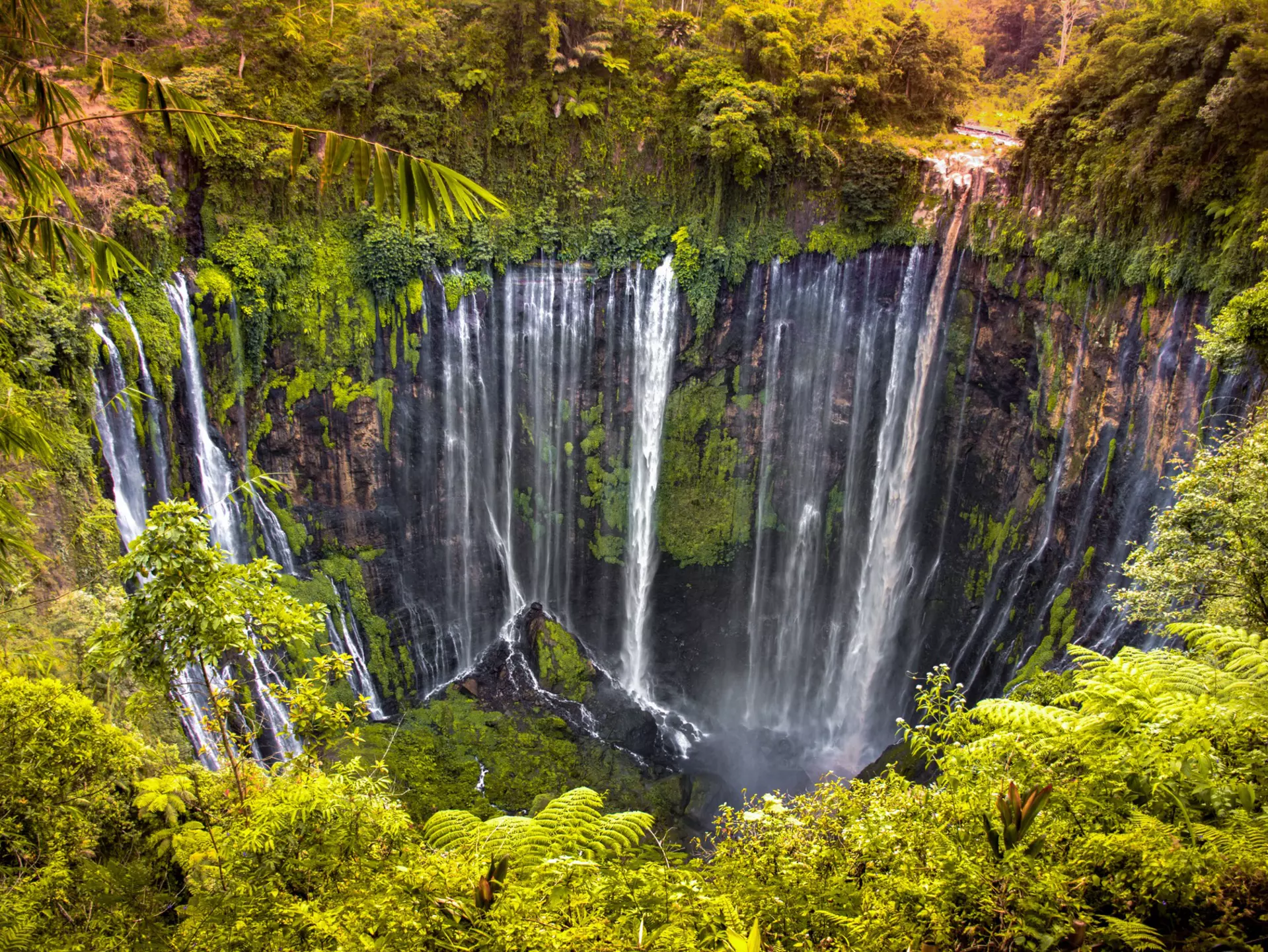 An aerial view of a waterfall with hundreds of cascades in a jungle gorge.