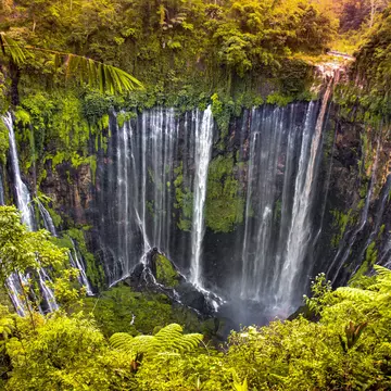 An aerial view of a waterfall with hundreds of cascades in a jungle gorge.