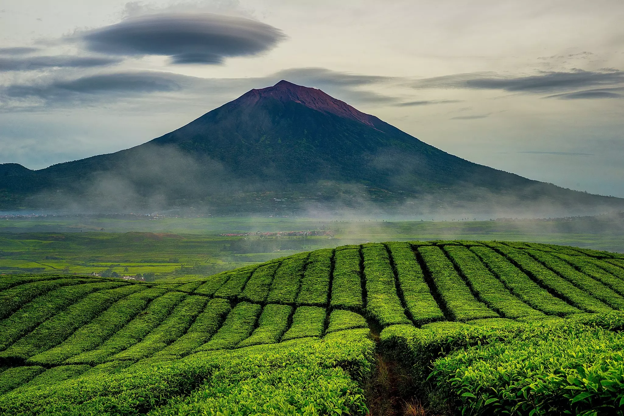 Green fields divided into rows lead to a single peak, with mist rising in the plain between.