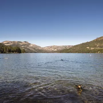 Donner Lake Playground