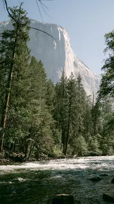 A stream in a national park