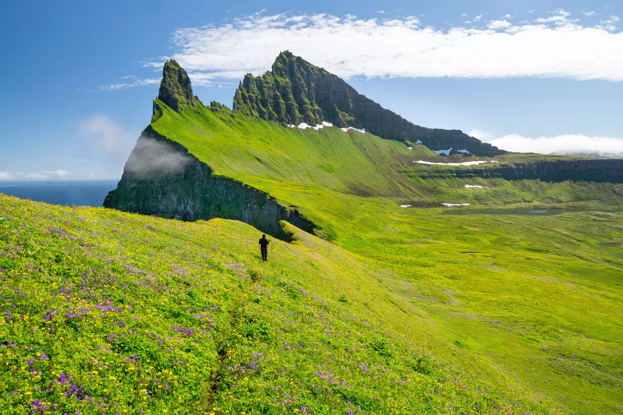 A hiker walking through flowering meadows near vast cliffs with pointed peaks
