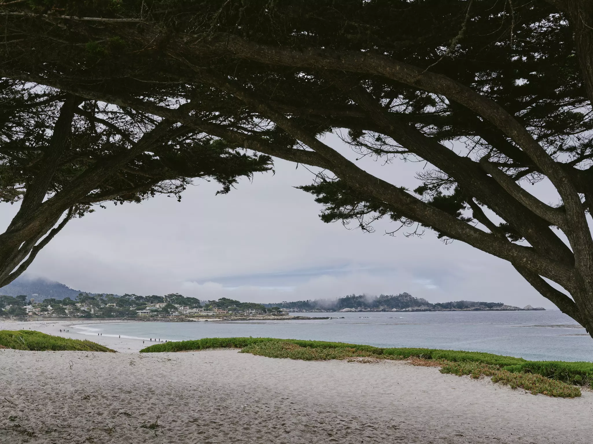 A sandy beach with a grass-covered dune on a misty day.