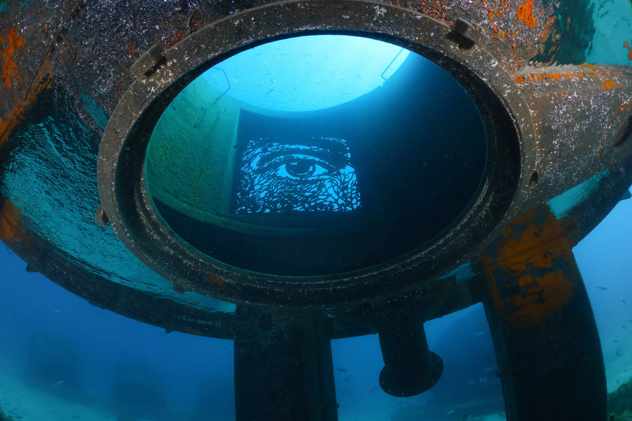 An eye is designed into the the surface of a metal underwater reef.