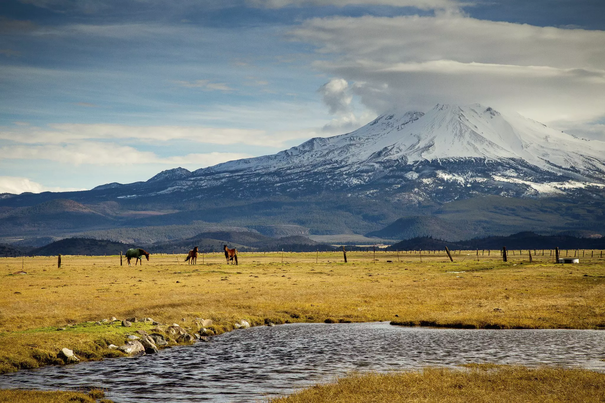 A horse stops for water, with other horseback riders around