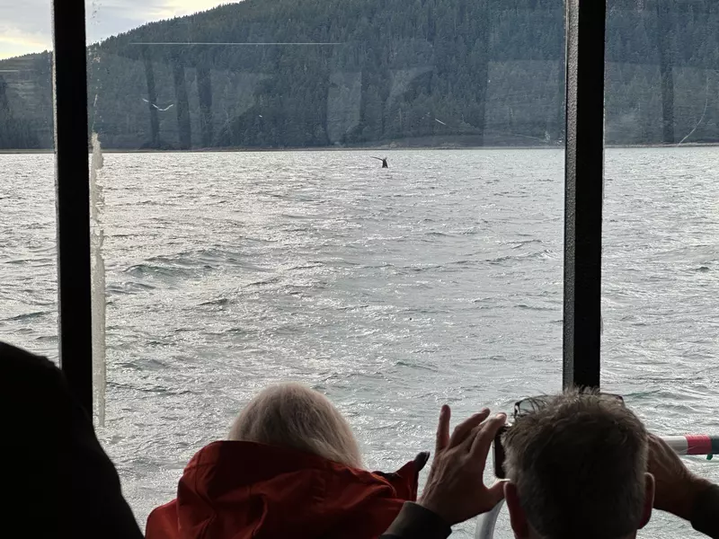 People inside a cruise shpping looking for whales out the window on an overcast day.