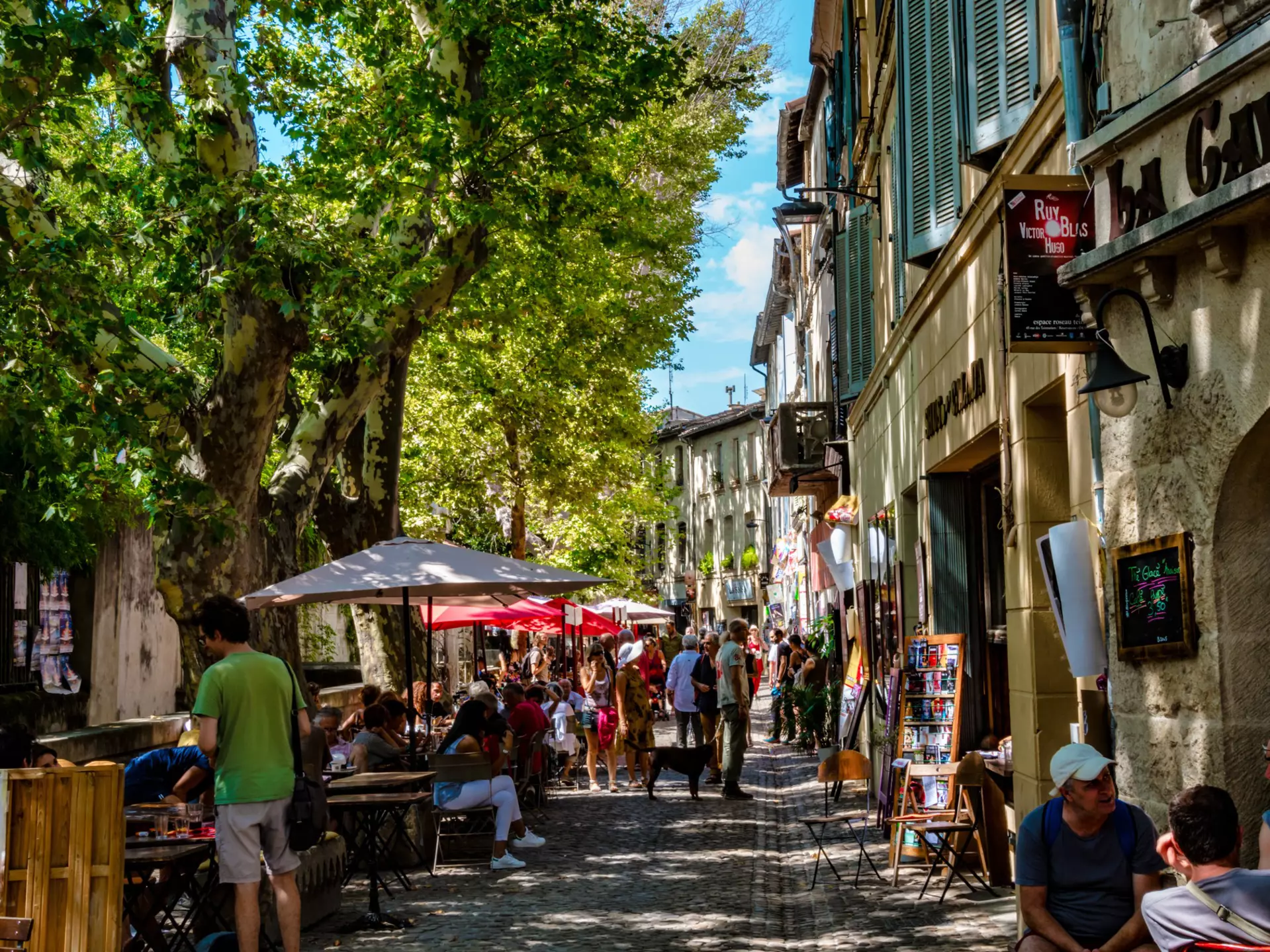 Avignon is famed for its medieval architecture, papal palace and annual theatre festival. TsTGraph/Shutterstock