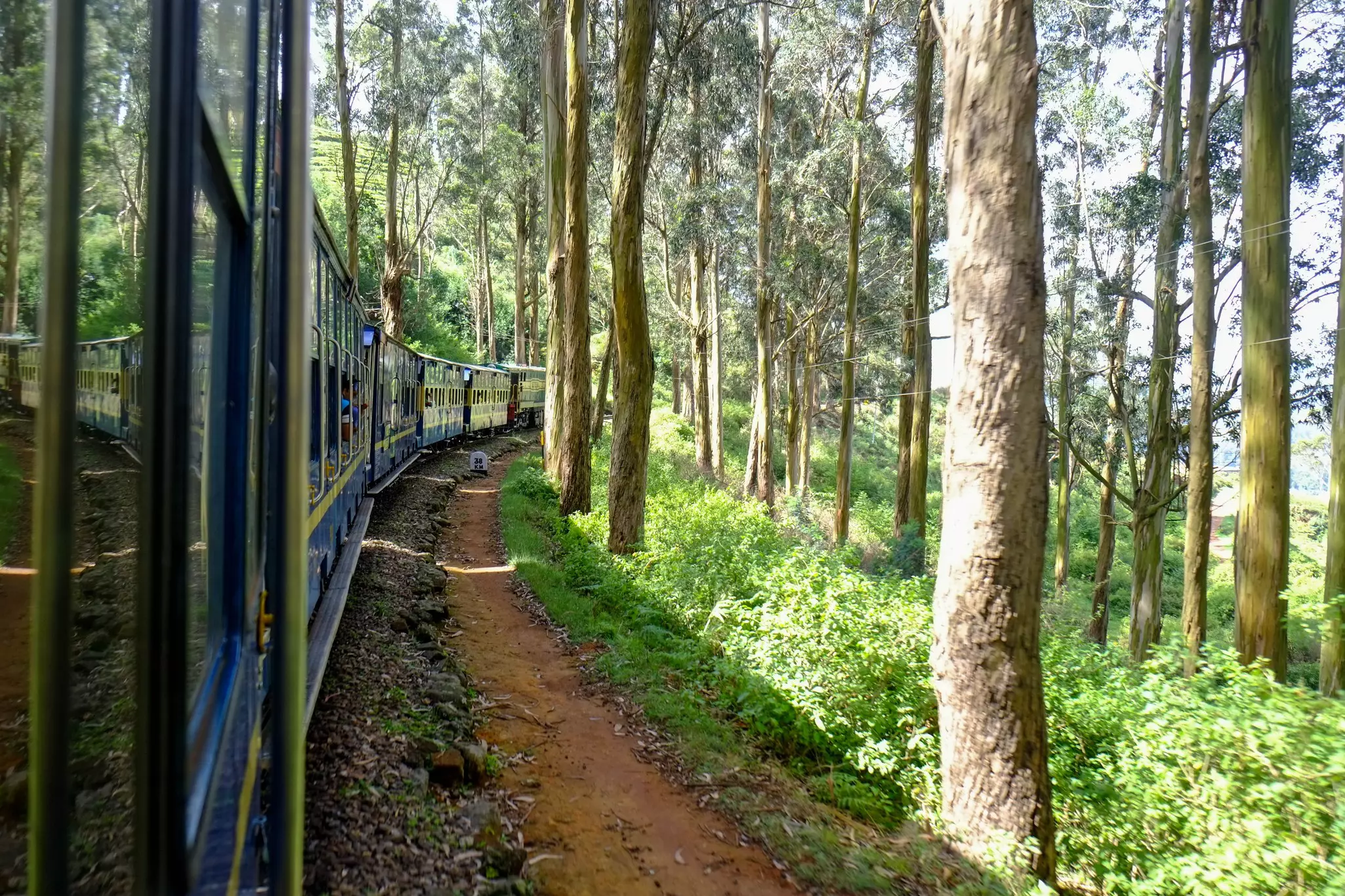 The “toy train” Nilgiri Mountain Railway takes you high up into the Western Ghats © Getty Images / iStockphoto