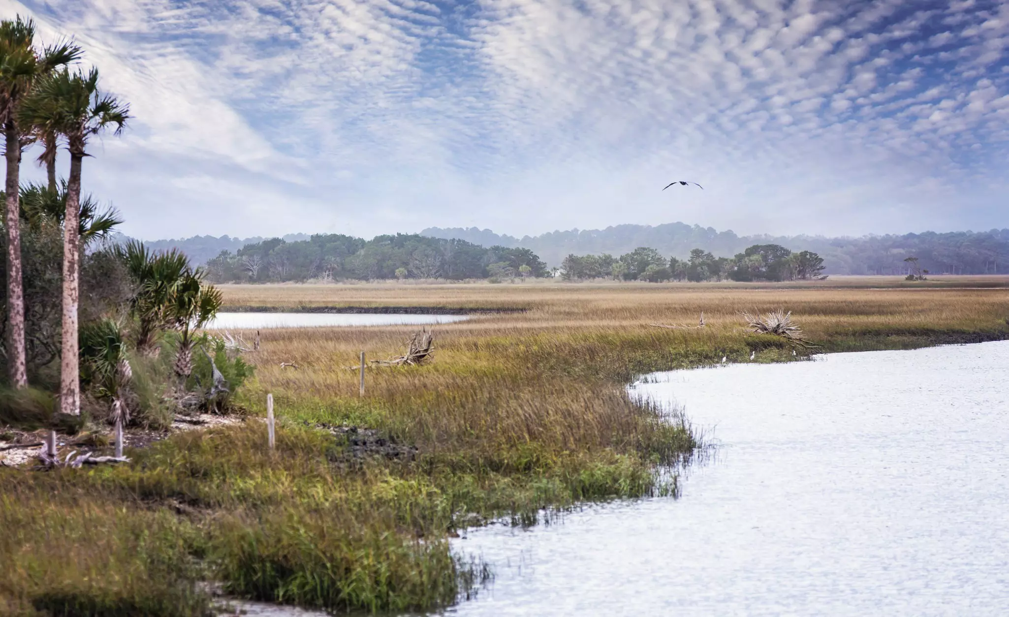 A shot of the Timucuan Ecological & Historic Preserve in Jacksonville, Florida.