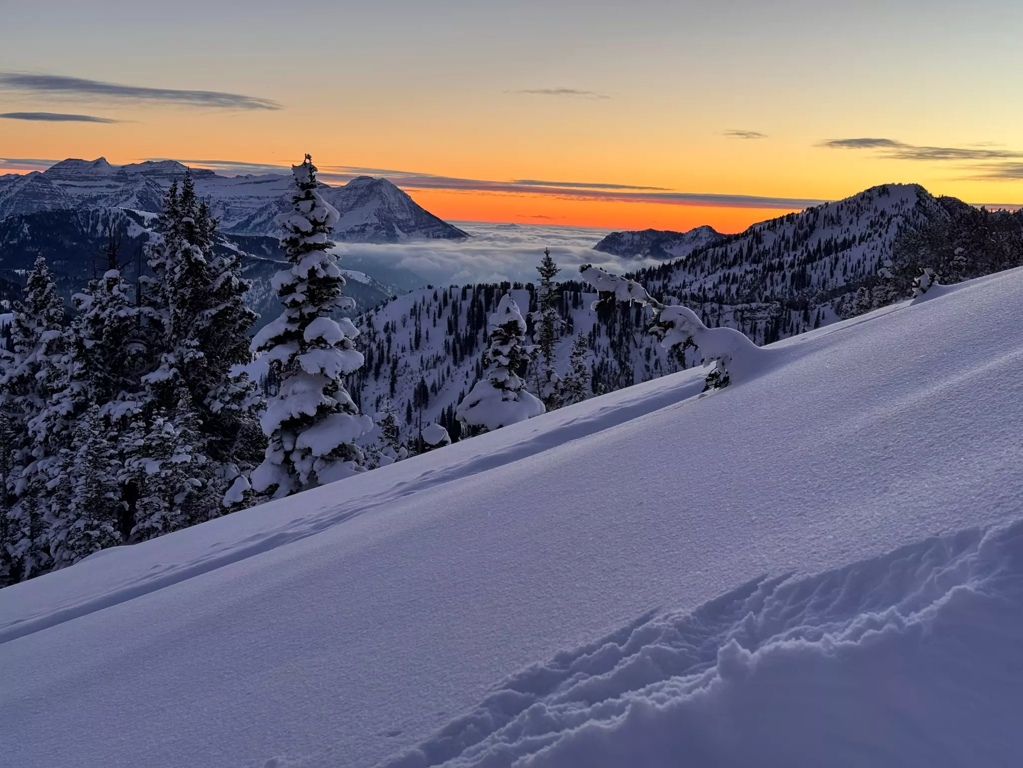 The snow on a ski slope at sunset, with golden lights in the sky and the snow appearing purple in the light.