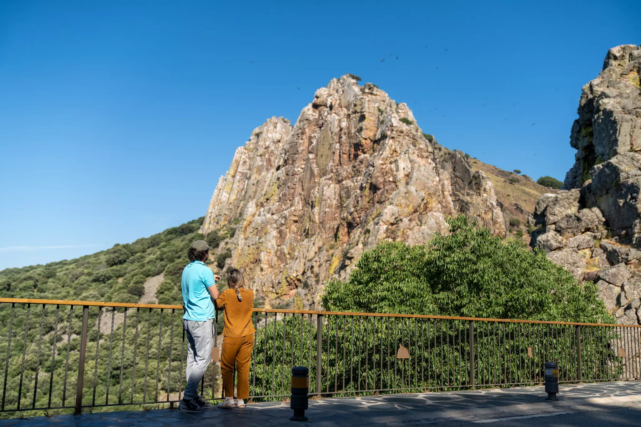 A man and child stand at a barrier looking up at birds flying over rocky cliffs